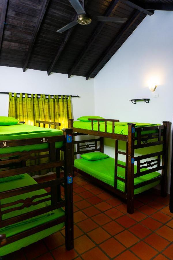 Dreamer Hostel