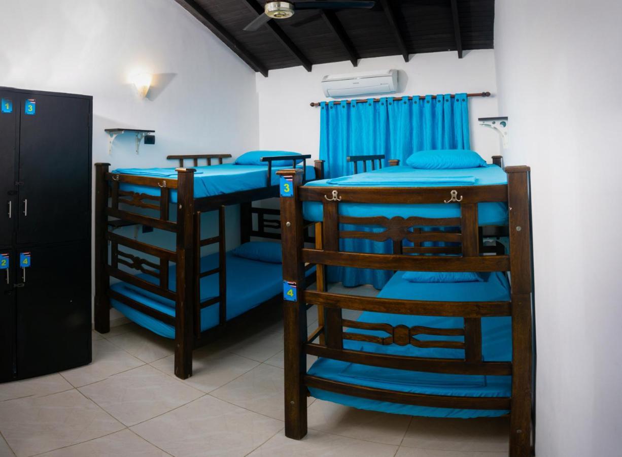 Hostel Dreamer *