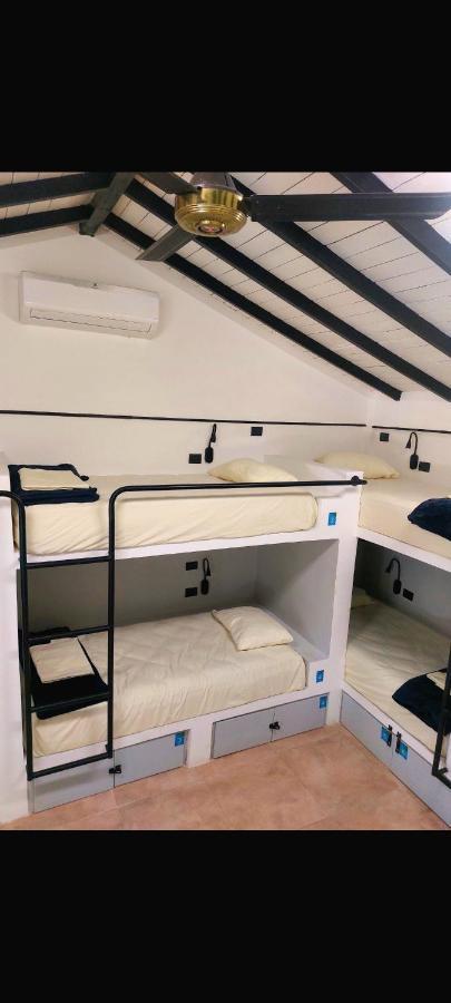 Hostel Dreamer