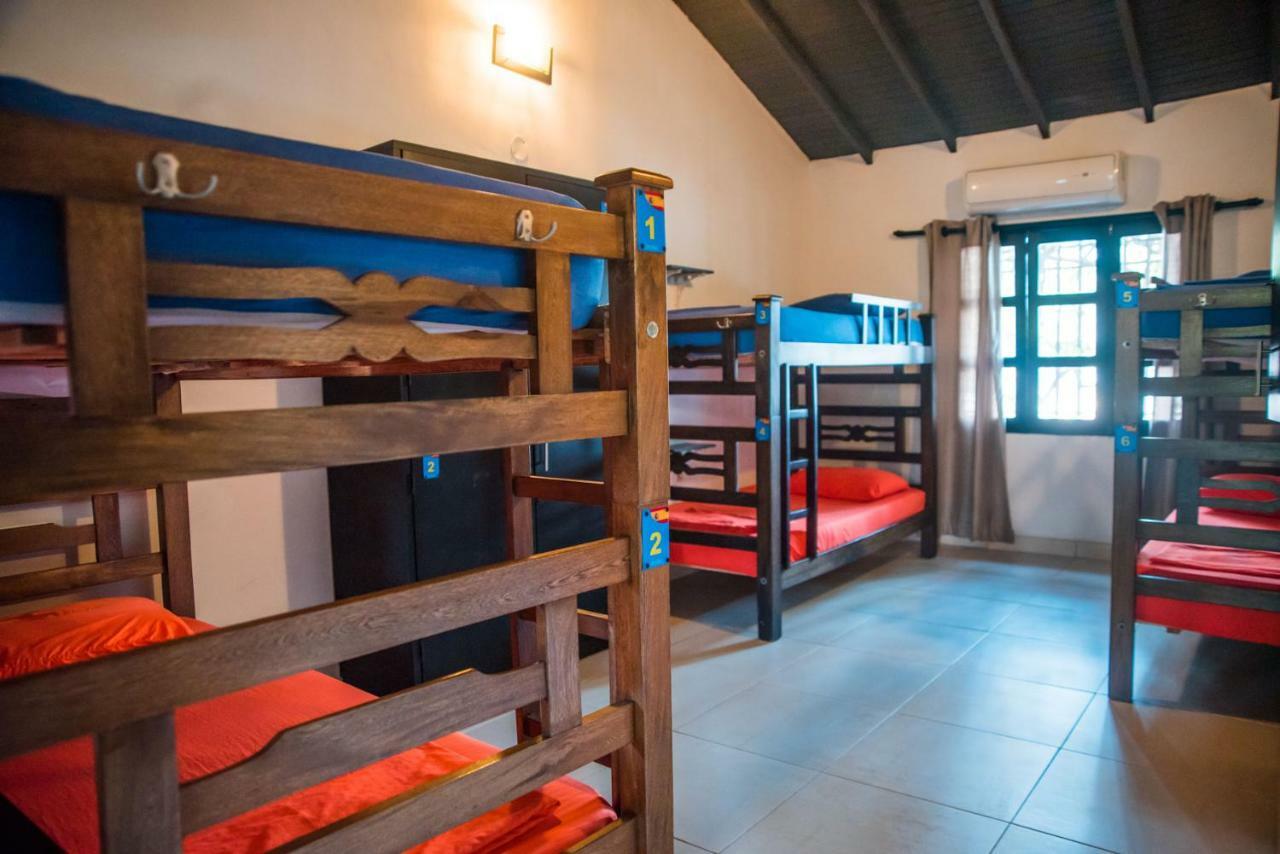 Hostel Dreamer *